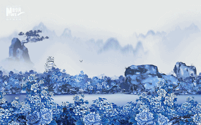 瓷生物