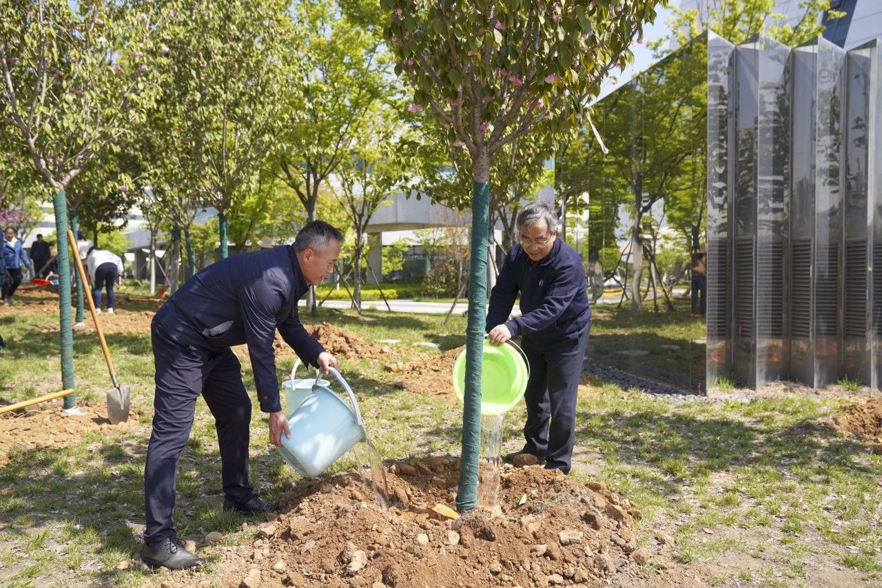 种树