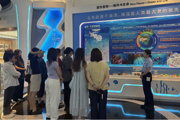 明月海藻