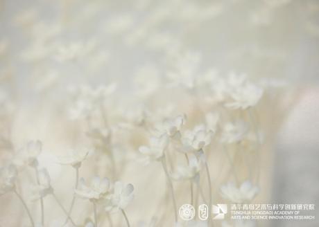 清华青岛艺术与科学创新研究院